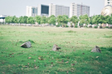三块石头