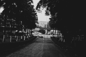 IMGP9048.jpg