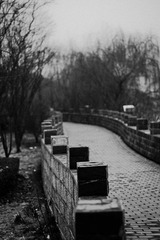 IMGP3861.jpg