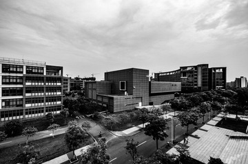 IMGP8436.jpg
