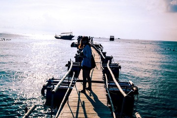 IMGP3844.jpg