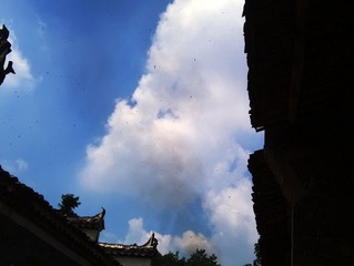 烧祭品时的那些尘埃飞舞