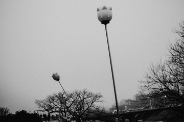 IMGP7859.jpg