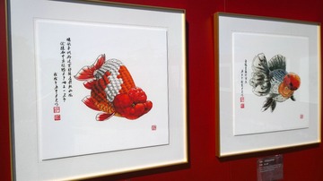 远眺大海