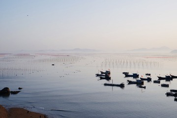 3165E812-9102-4D60-B021-19B145581DAF/L0/001