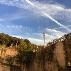 4A1F7865-AA5C-4317-BD27-442C354DB0D3/L0/001
