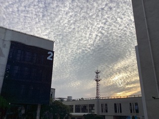 58C0C1FD-6DEB-4DB7-9C9B-9697DF89003D/L0/001