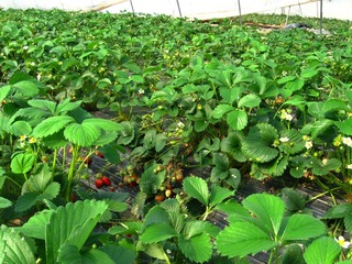 IMG_3633.JPG