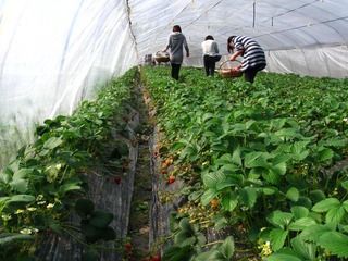 IMG_3634.JPG