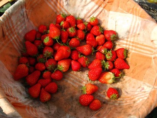 IMG_3644.JPG