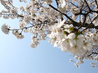 IMG_3867.JPG