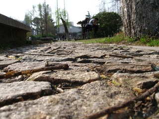 IMG_3882.JPG