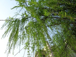 IMG_3885.jpg