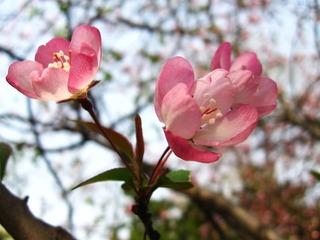 IMG_3943.jpg