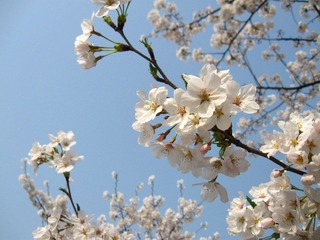 IMG_4000.JPG
