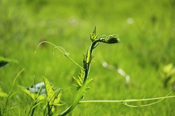 IMG_2828.JPG