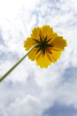 182196