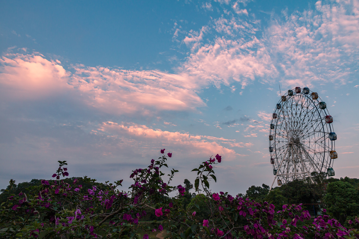 傍晚的观澜湖大地生态园