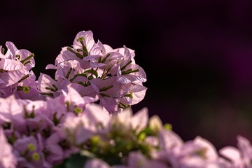 1333011