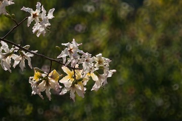 1560769