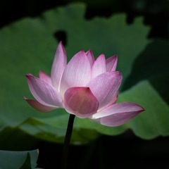 20051