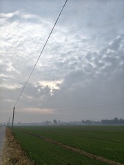 1000054177