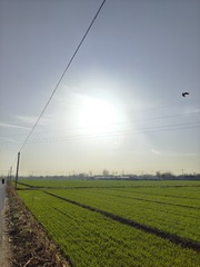 1000057950