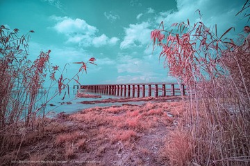 195B3C0C-AC3A-4911-8E57-420599B2D90B/L0/001