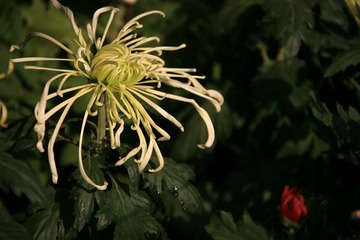 IMG_0122.JPG