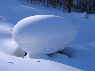 IMG_0055.JPG