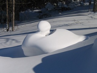 IMG_0071.JPG
