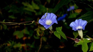 P1120533