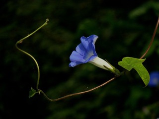 P1120535