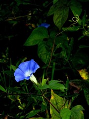 P1120537