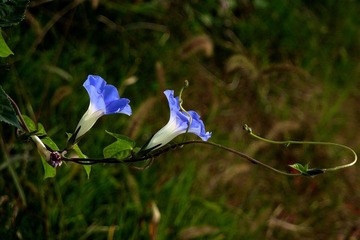 P1120540
