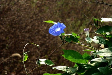 P1120545