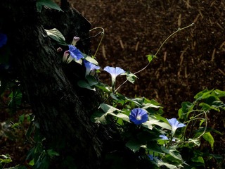 P1120693
