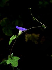 P1120933
