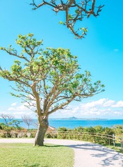 japan_171215_30