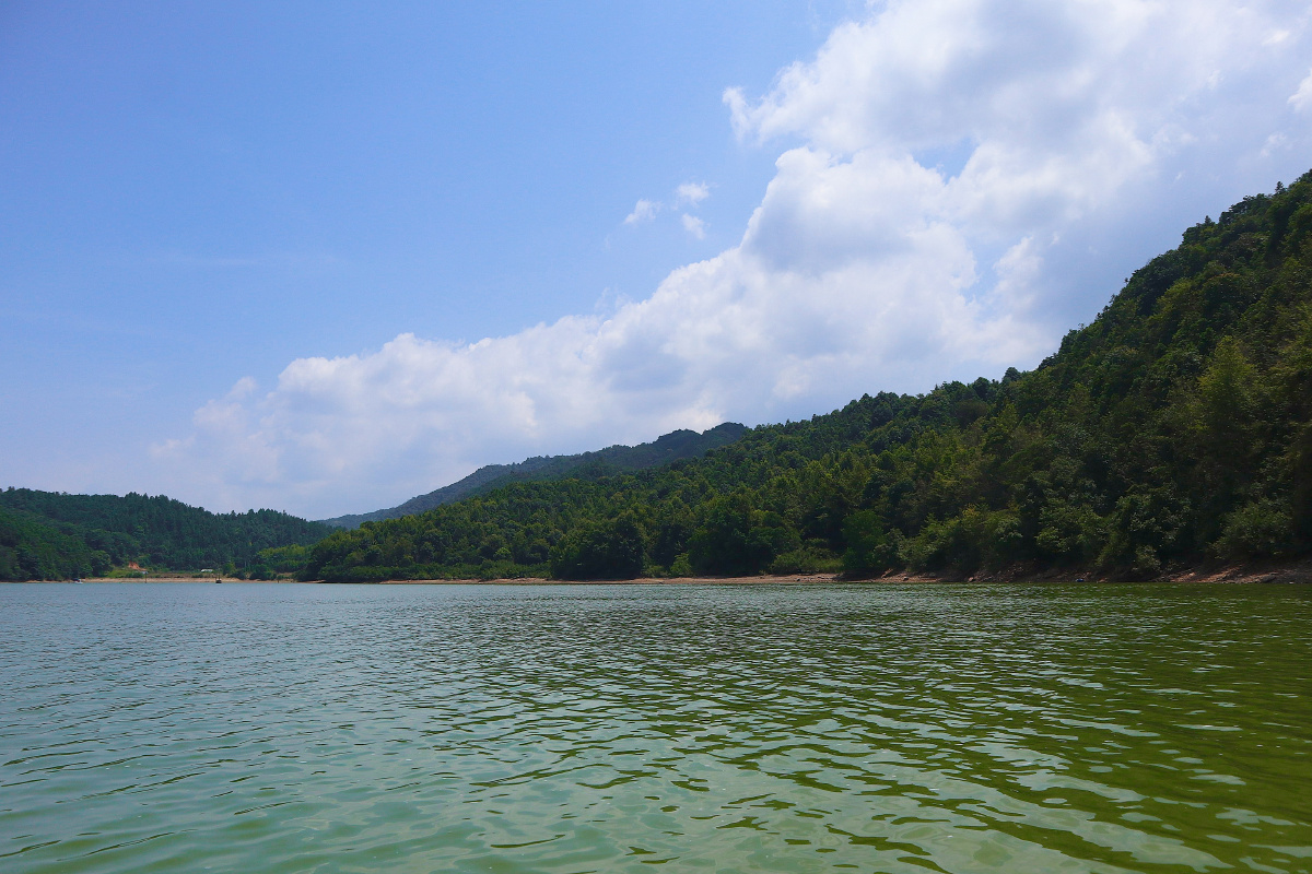 新干县海木源竹林漂流