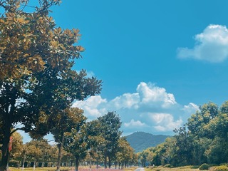 0806365A-B53E-4287-AA51-2F940BF82BBF/L0/001