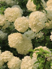 EAB6B7EE-2D32-4AAB-BA3E-6304D82708F3/L0/001