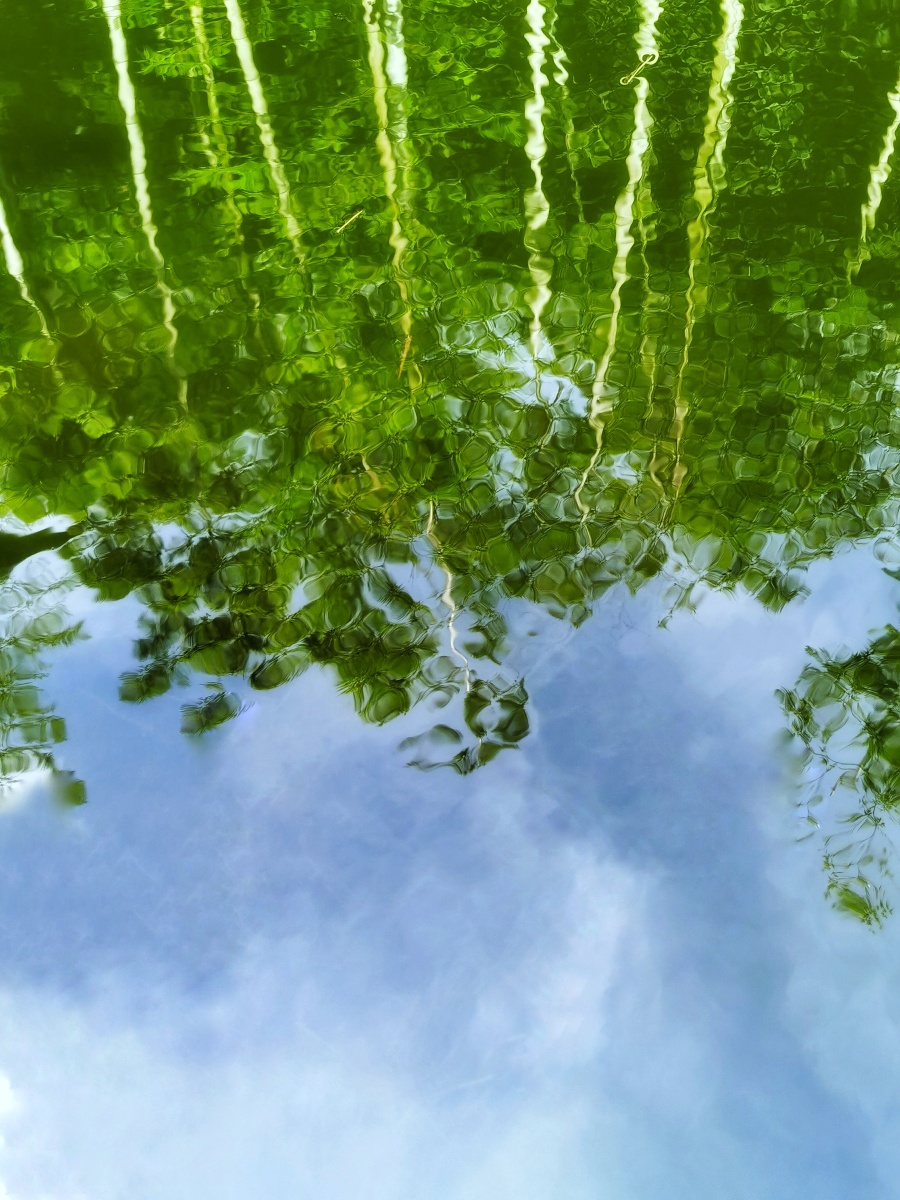 风吹水动竹叶倒影波澜涟漪