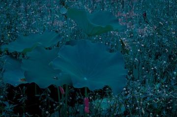 F05307EC-AE77-4201-885D-B2314C40B7D7/L0/001