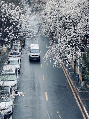 E0DBA2A1-7F44-4EB1-9E7C-0CCC83E35DDA/L0/001