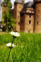 haar11