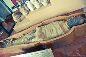 Vaticano Museo