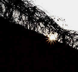 BFB9FC67-D311-42A7-A691-86E2361597D8/L0/001