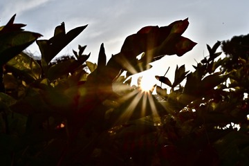 424DFD68-0E66-4642-BC51-2F32AAFE967B/L0/001