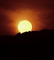 A6B9938E-8285-4492-A298-8806B68C6CD3/L0/001